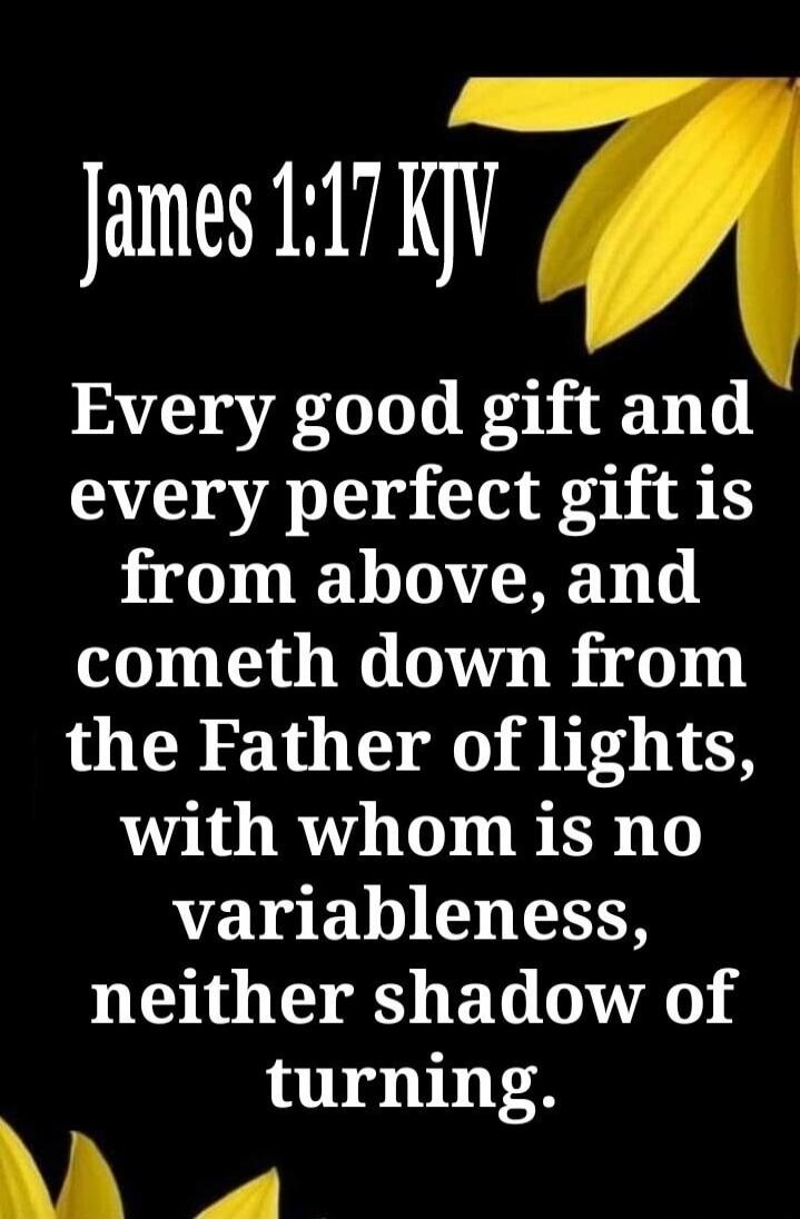 James 1:17 KJV Every good gift and every perfect gift is from above, and cometh down from the Father of lights, with whom is no variableness, neither shadow of turning.