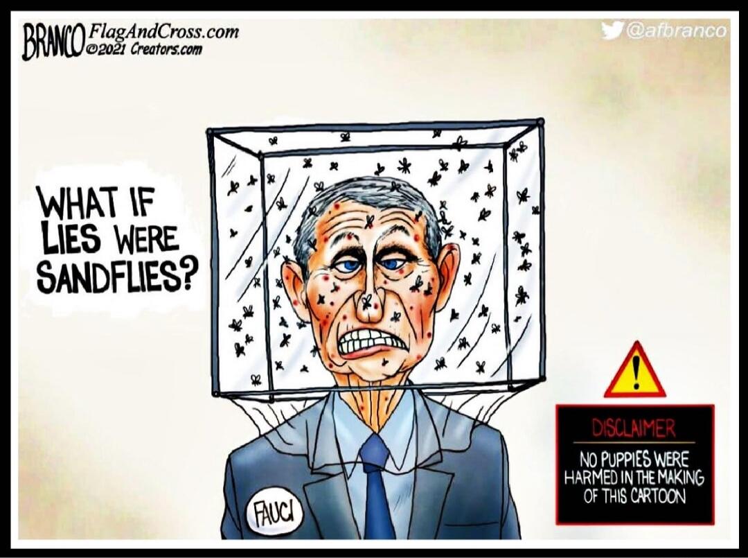 BRANCO FlagAndCross.com ©2021 Creators.com @afbranco WHAT IF LIES WERE SANDFLIES? FAUCI DISCLAIMER NO PUPPIES WERE HARMED IN THE MAKING OF THIS CARTOON