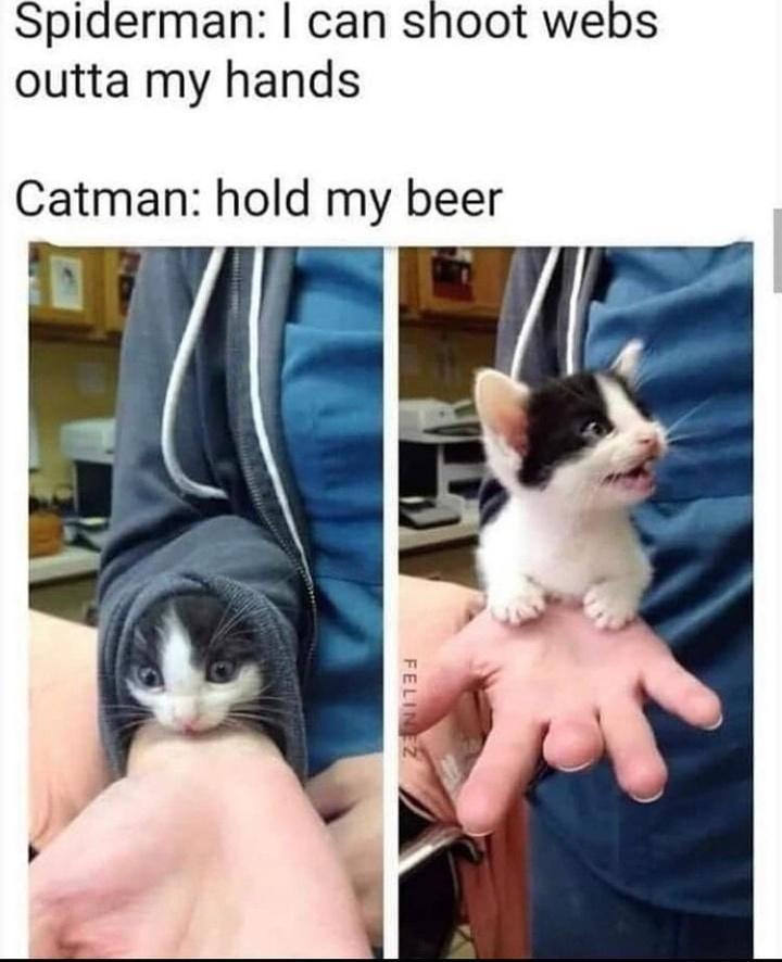 Spiderman can shoot webs outta my hands Catman hold my beer