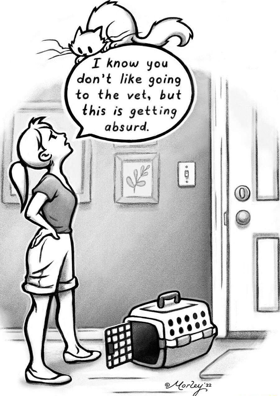 I know you dont like going to the vet but this is getting absurd