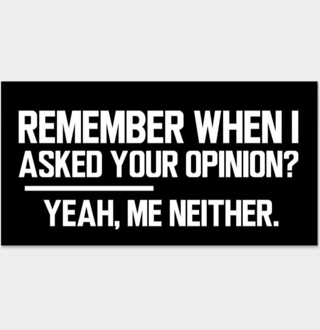 REMEMBER WHEN I ASKED YOUR OPINION? YEAH, ME NEITHER.