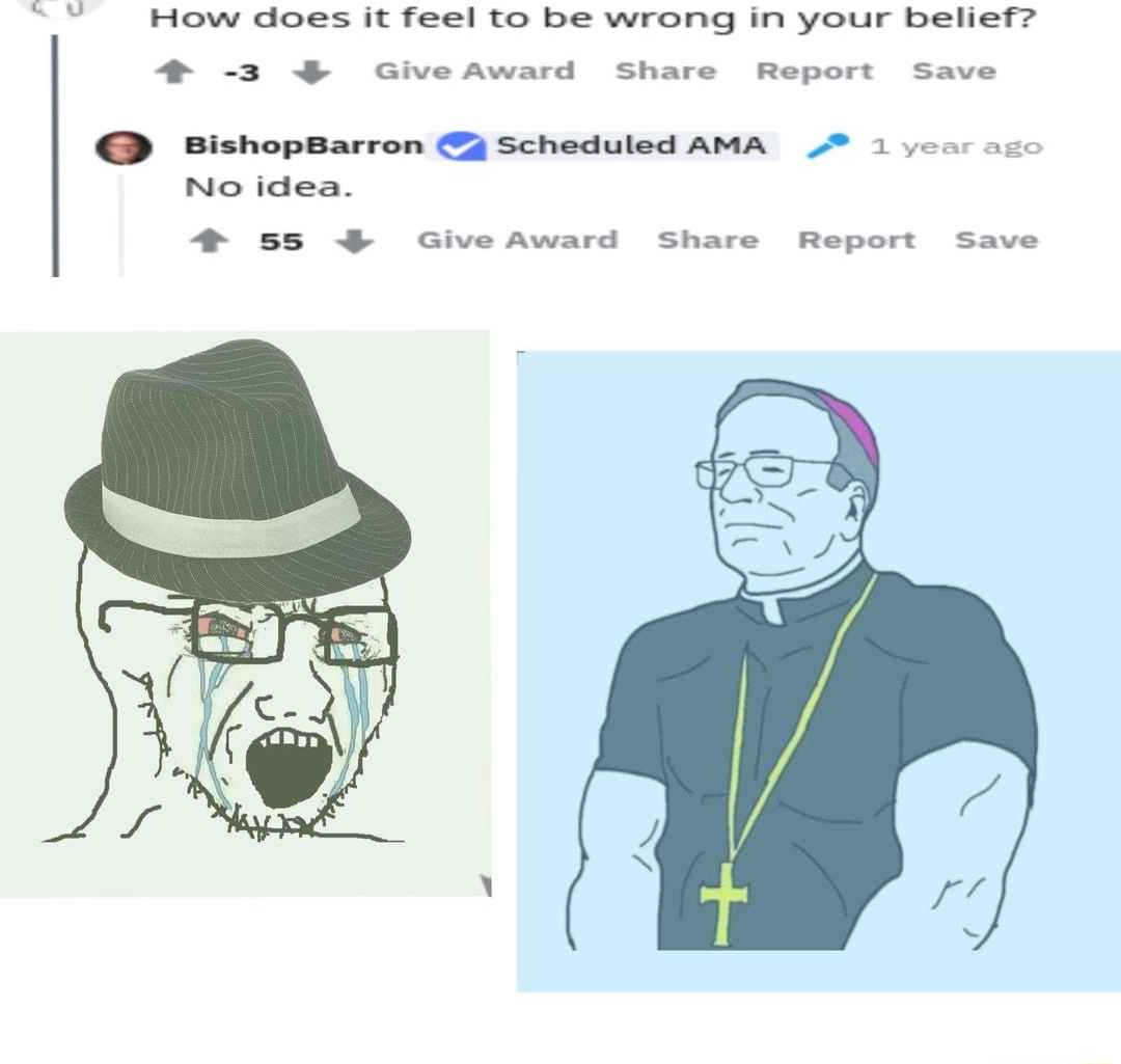 TheRavenManss 1 year as How does it feel to be wrong in your belief 4 3 GiveAward Share Report Save BishopBarron Scheduled AMA 1 oo i No idea 4 55 3 GiveAward Share Report Save