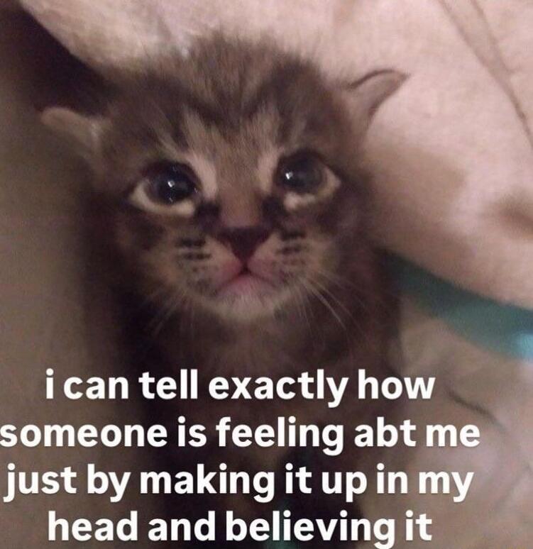 i can tell exactly how someone is feeling abt me just by making it up in my head and believing it