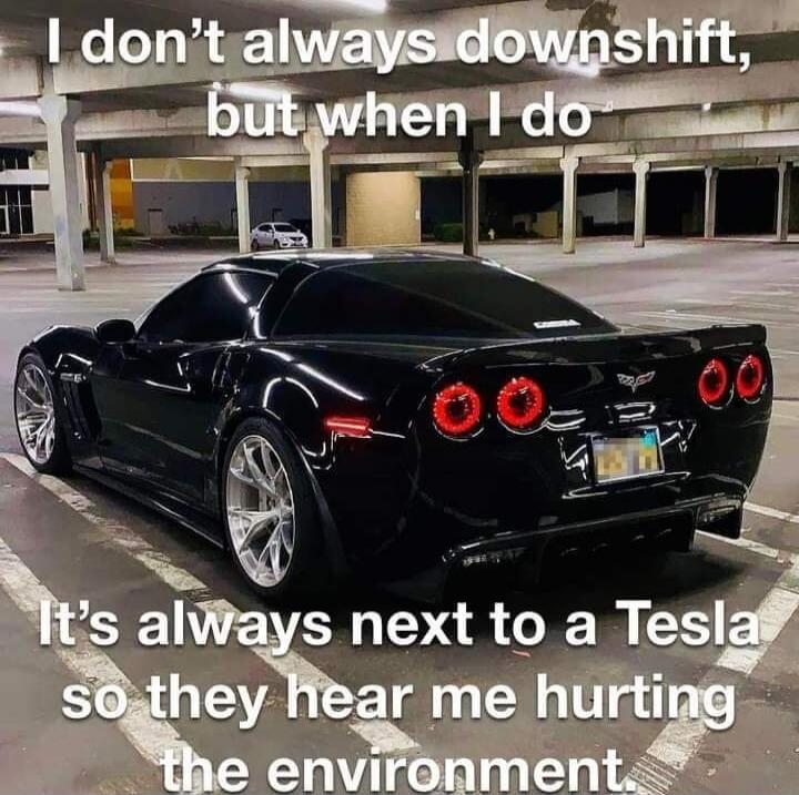 I don't always downshift, but when I do
It's always next to a Tesla
so they hear me hurting the environment