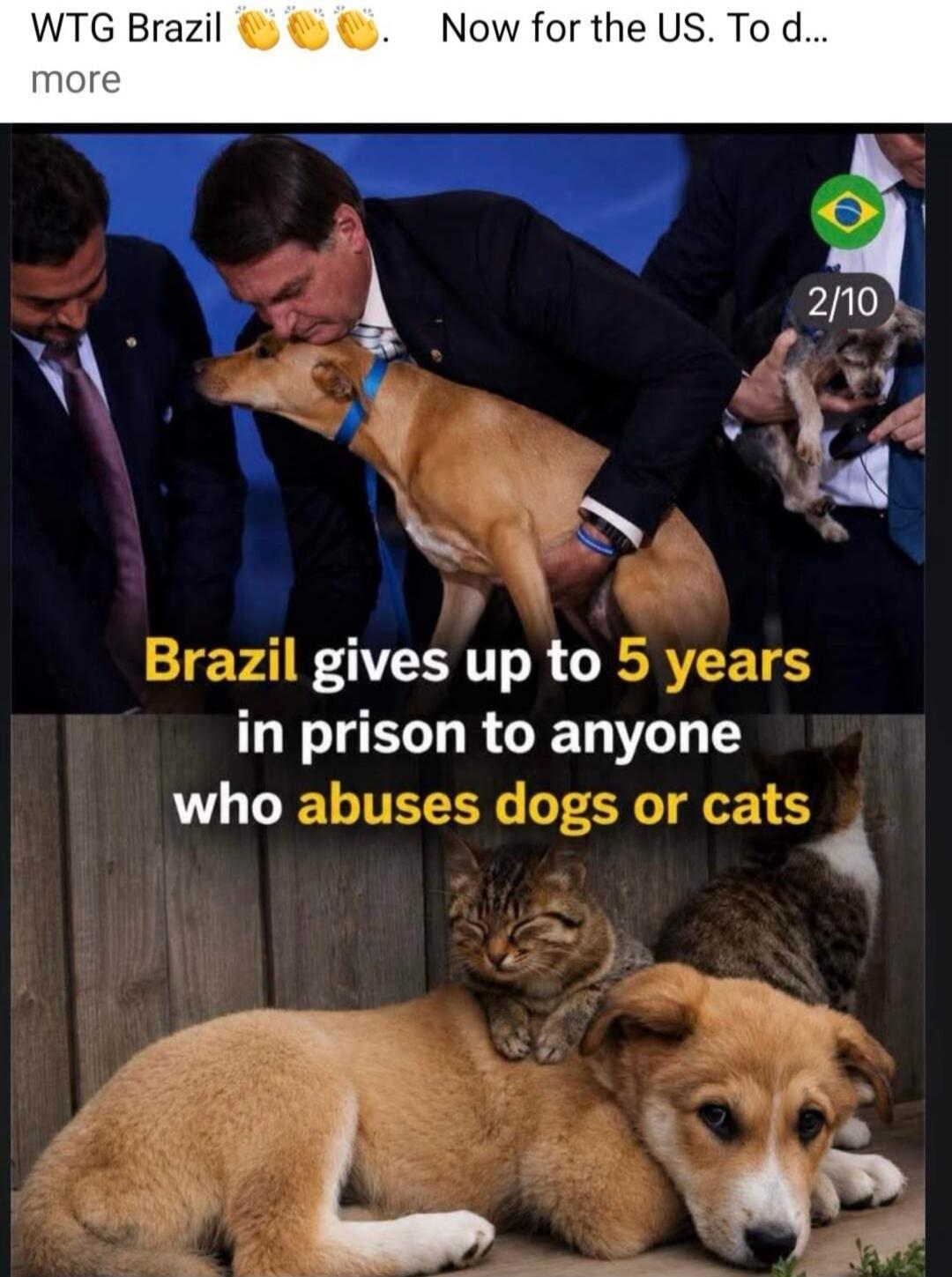 WTG Brazil 🙌🙌🙌. Now for the US. To d... more. Brazil gives up to 5 years in prison to anyone who abuses dogs or cats.