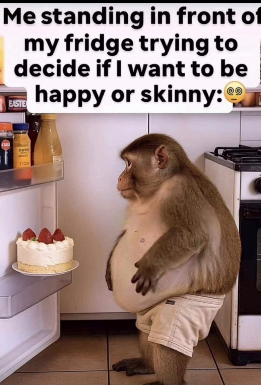 Me standing in front of my fridge trying to decide if I want to be happy or skinny: 😵‍💫