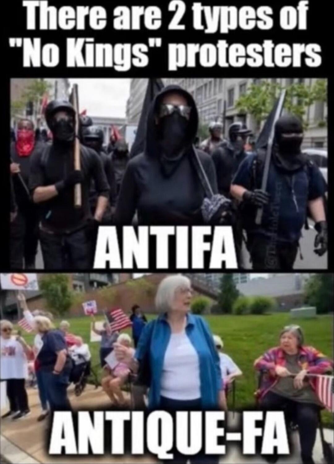 There are 2 types of 'No Kings' protesters\nANTIFA\nANTIQUE-FA