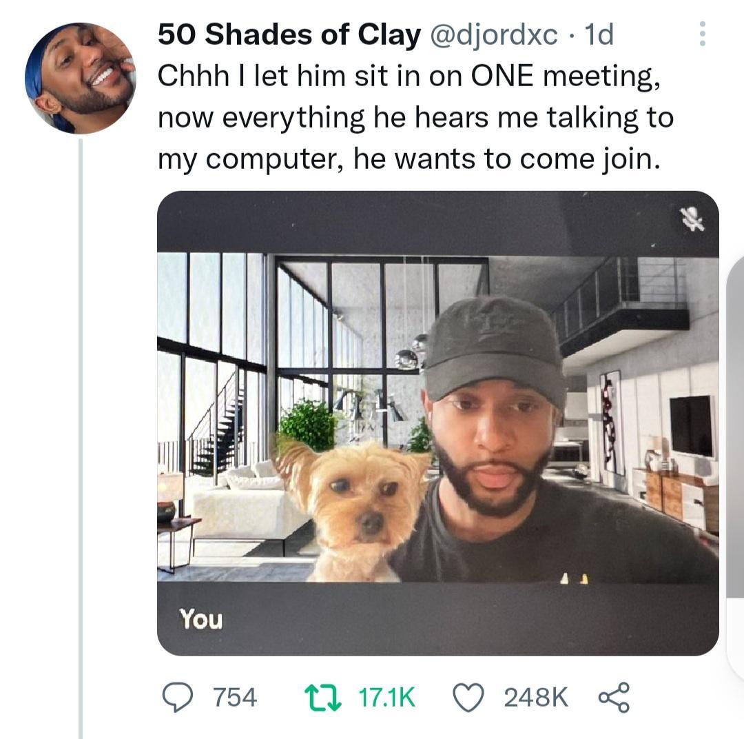 50 Shades of Clay djordxc 1d Chhh I let him sit in on ONE meeting now everything he hears me talking to my computer he wants to come join QO 754 17 171K Q 248K