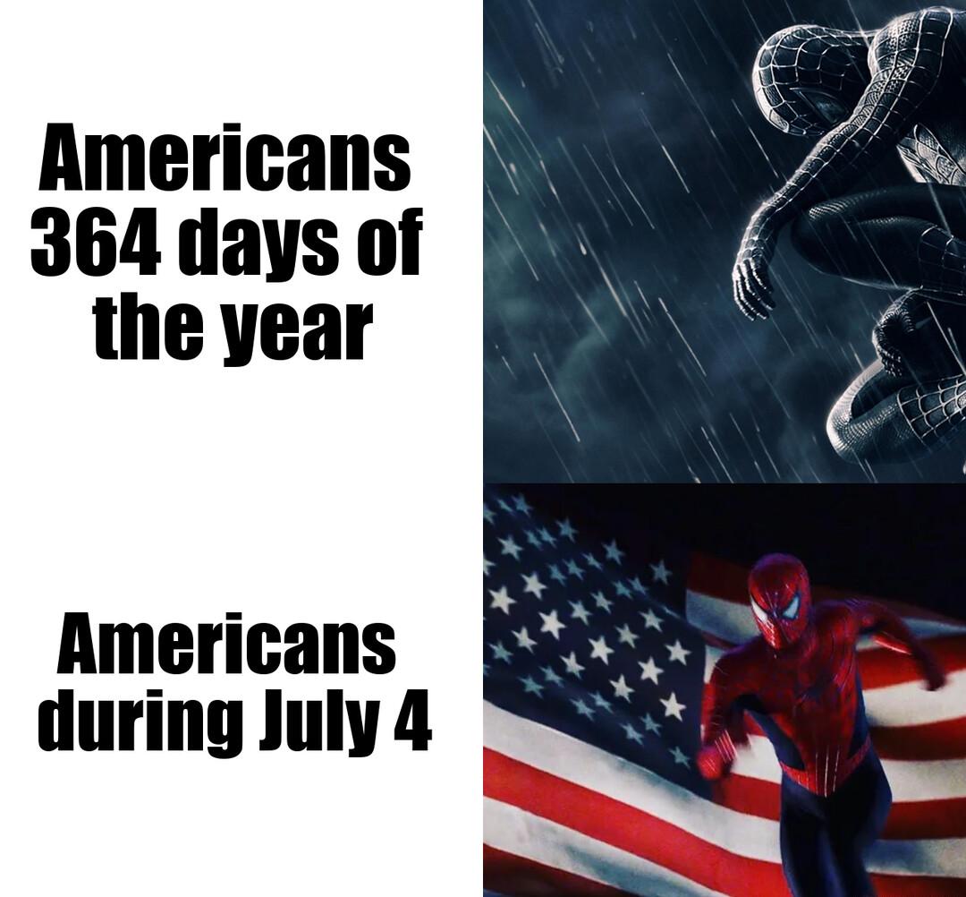 Americans 364 days of the year Americans during July 4