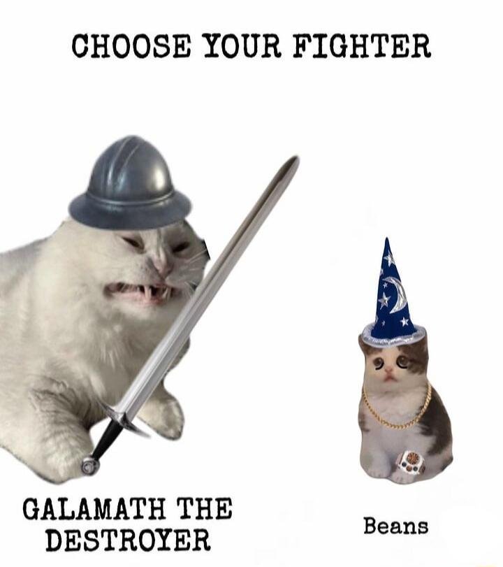 CHOOSE YOUR FIGHTER GALAMATH THE Beans DESTROYER