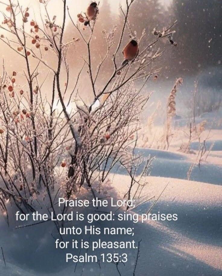 Praise the Lord for the Lord is good: sing praises unto His name; for it is pleasant. Psalm 135:3