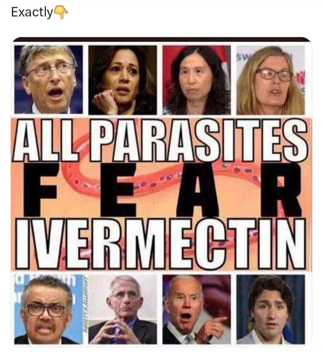 Exactly 👇 ALL PARASITES FEAR IVERMECTIN