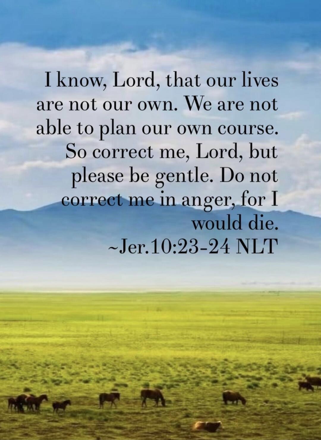I know, Lord, that our lives are not our own. We are not able to plan our own course. So correct me, Lord, but please be gentle. Do not correct me in anger, for I would die. ~Jer.10:23-24 NLT
