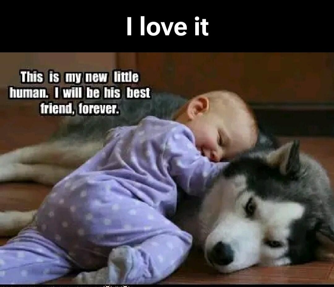 I love it
This is my new little human. I will be his best friend, forever.