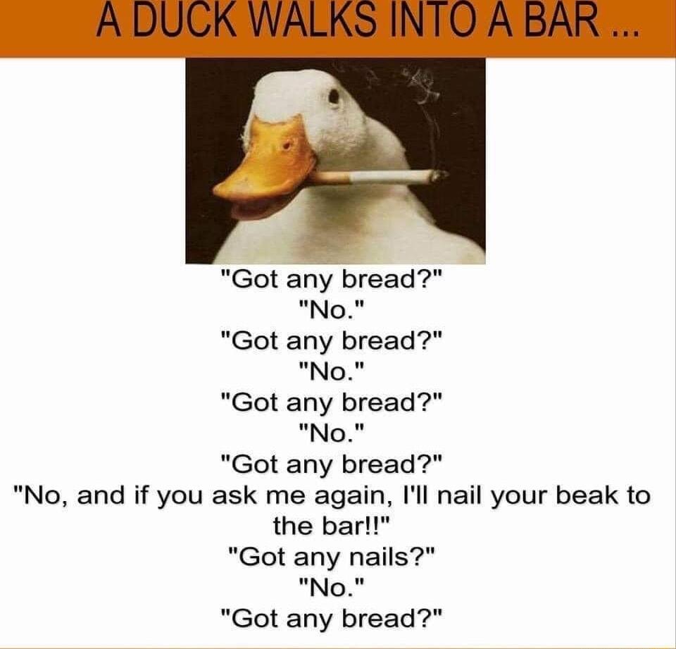 Got any bread No Got any bread No Got any bread No Got any bread No and if you ask me again Ill nail your beak to the bar Got any nails No Got any bread