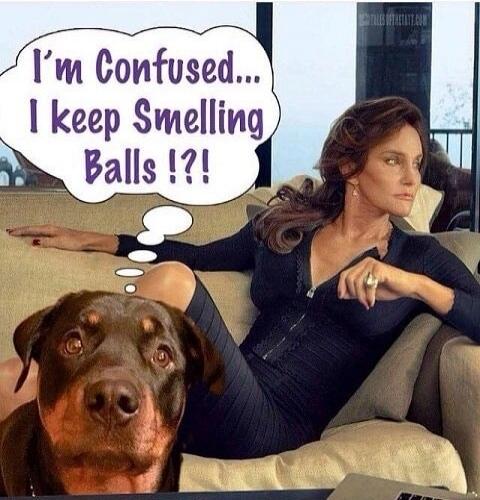 I'm Confused... I keep Smelling Balls !?!