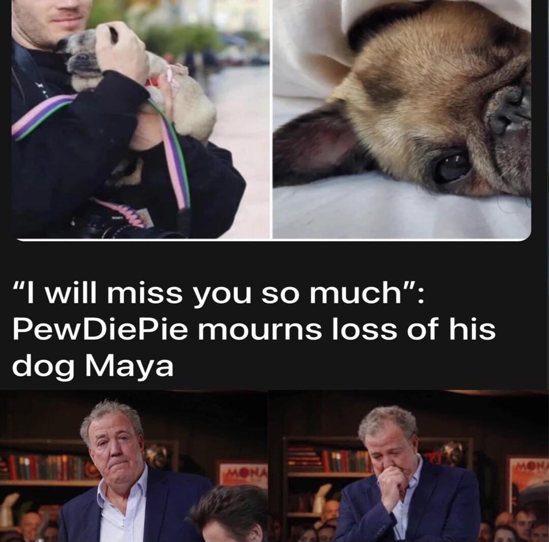 1 will miss you so much PewDiePie mourns loss of his eleTe IV EVVE