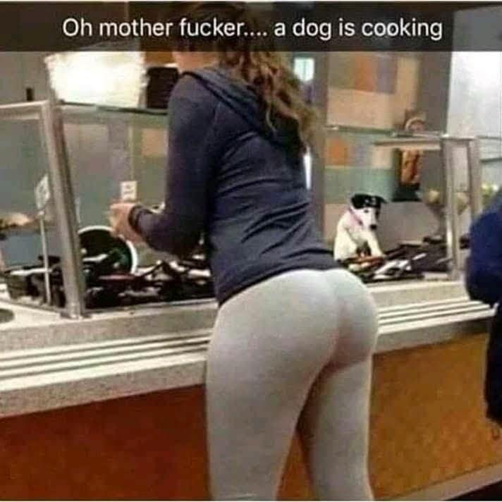 Oh mother fucker a dog is cooklng 4