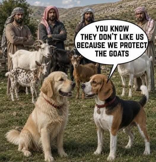 YOU KNOW THEY DON'T LIKE US BECAUSE WE PROTECT THE GOATS