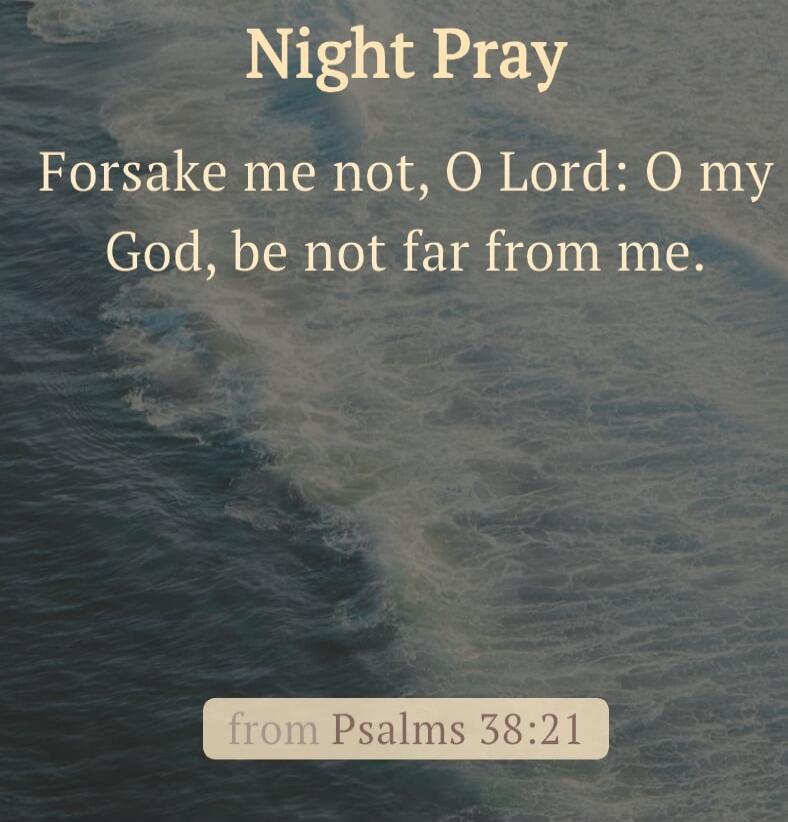 Night Pray
Forsake me not, O Lord: O my God, be not far from me.
from Psalms 38:21