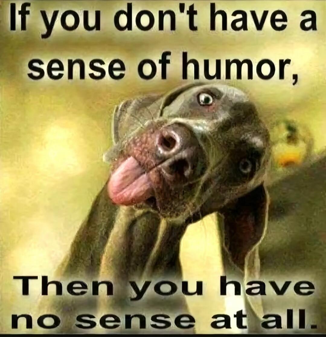 If you don't have a sense of humor, Then you have no sense at all.