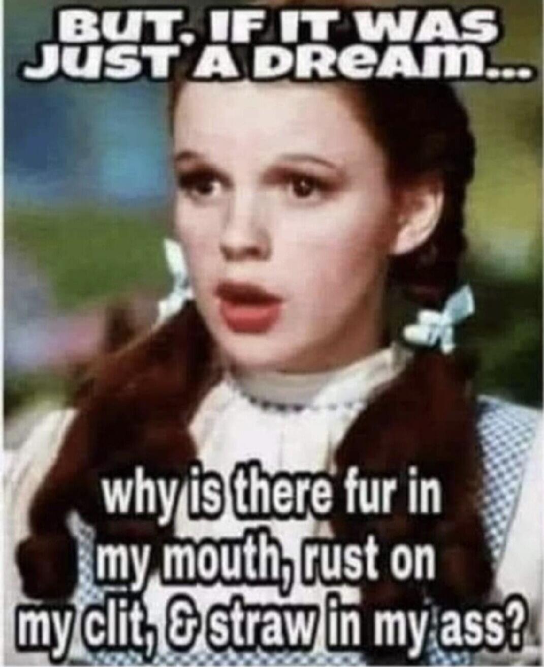 BUT, IF IT WAS JUST A DREAM... why is there fur in my mouth, rust on my clit, & straw in my ass?