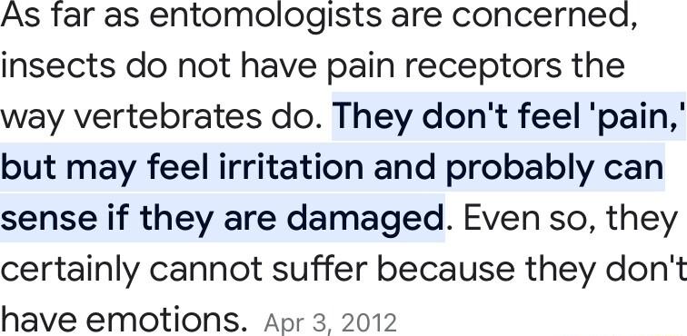 As far as entomologists are concerned insects do not have pain receptors the way vertebrates do They dont feel pain but may feel irritation and probably can sense if they are damaged Even so they certainly cannot suffer because they dont have emotions Apr 3 2012