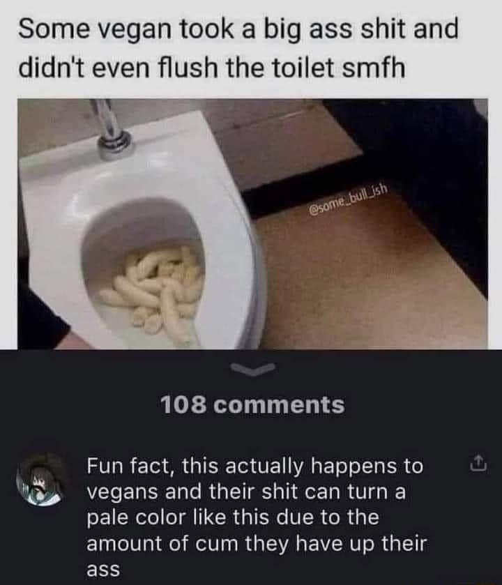 Some vegan took a big ass shit and didnt even flush the toilet smfh 108 comments VR e o TS V1 YA R T o o LTa R o vegans and their shit can turn a pale color like this due to the amount of cum they have up their EES