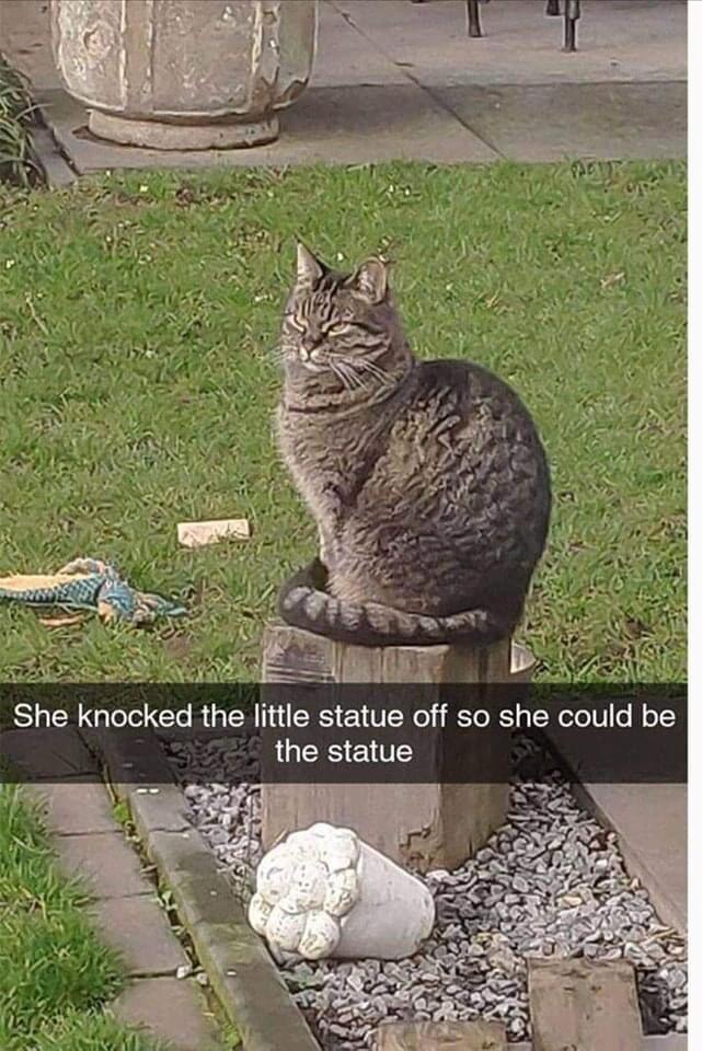 She knocked the little statue off so she could be QUERSENTE