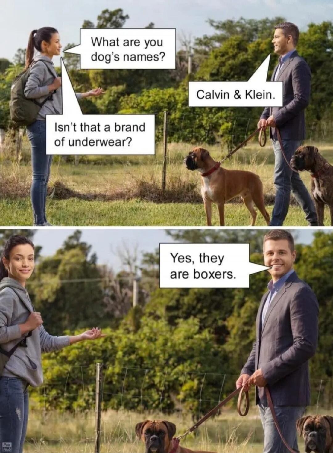 What are you dog's names? Calvin & Klein. Isn't that a brand of underwear? Yes, they are boxers.