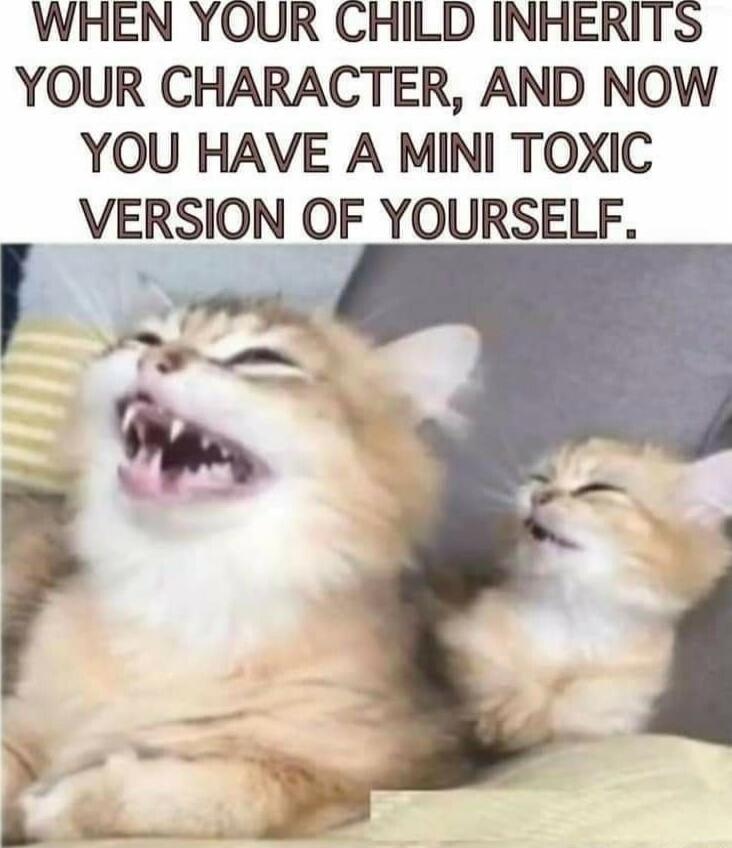 WHEN YOUR CHILD INHERITS YOUR CHARACTER AND NOW YOU HAVE A MINI TOXIC VERSION OF YOURSELF