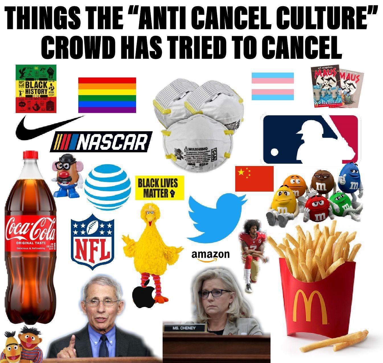 THINGS THE ANTI CANCEL CULTURE CROWD HAS TRIED TO CANCEL ne BB Bl L NASCHR
