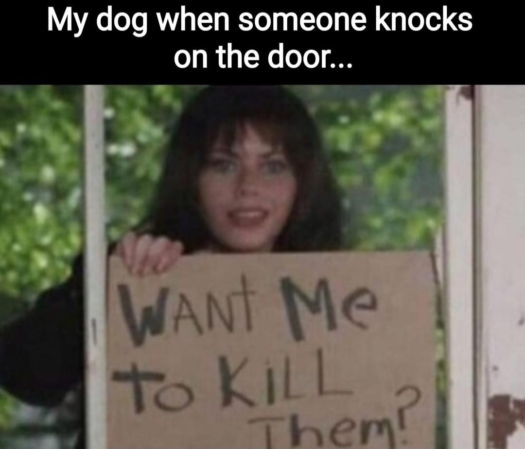 My dog when someone knocks on the door... WANT Me to KILL Them?