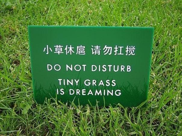 LRSS NEKE I DO NOT DISTURB TINY GRASS IS DREAMING