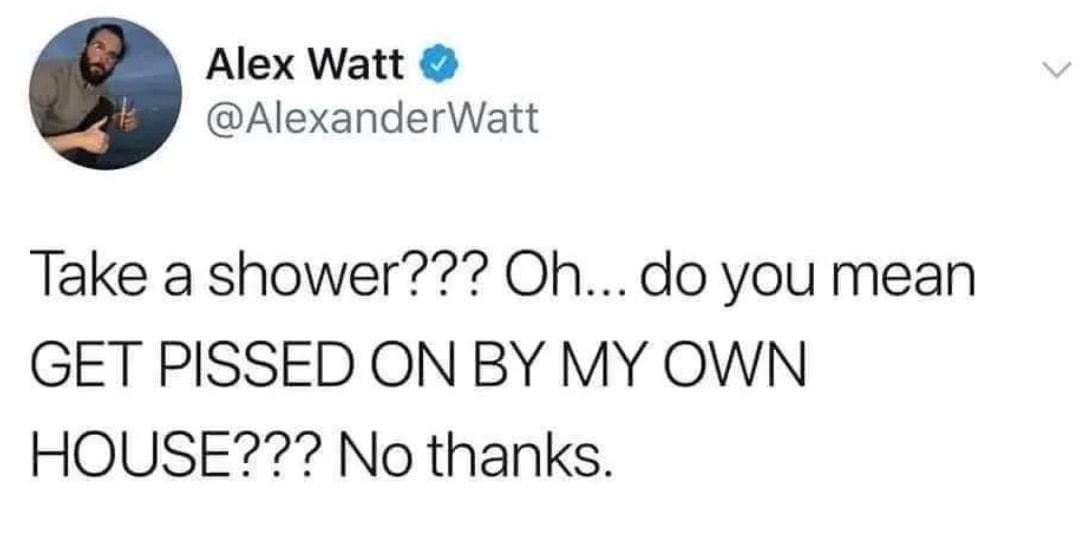 Alex Watt AlexanderWatt Take a shower Ohdo you mean GET PISSED ON BY MY OWN HOUSE No thanks 1017 PM 62017 Twitter for iPhone 2239 Retweets 5610 Likes