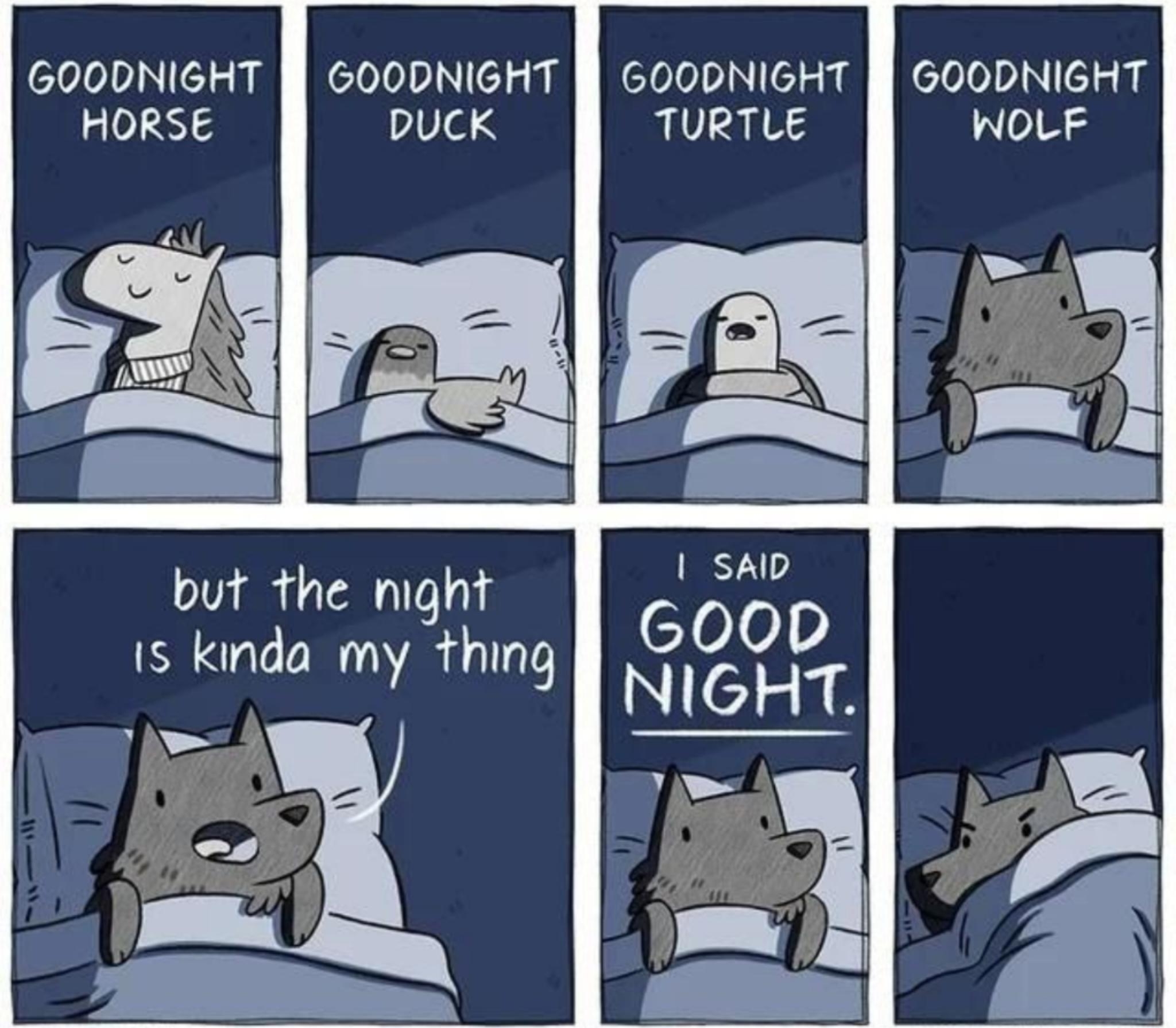 GOODNIGHT g GOODNIGHT GOODNIGHT GOODNIGHT but the mght 1s kinda my thing liOHQT EXOCOMICSCOM