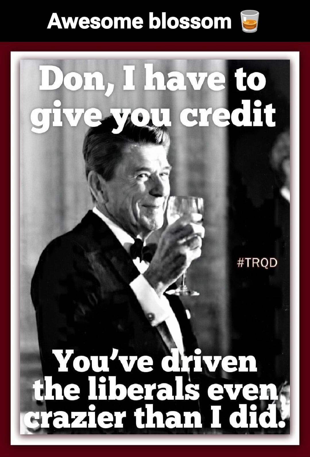 Awesome blossom Don, I have to give you credit You've driven the liberals even crazier than I did. #TRQD