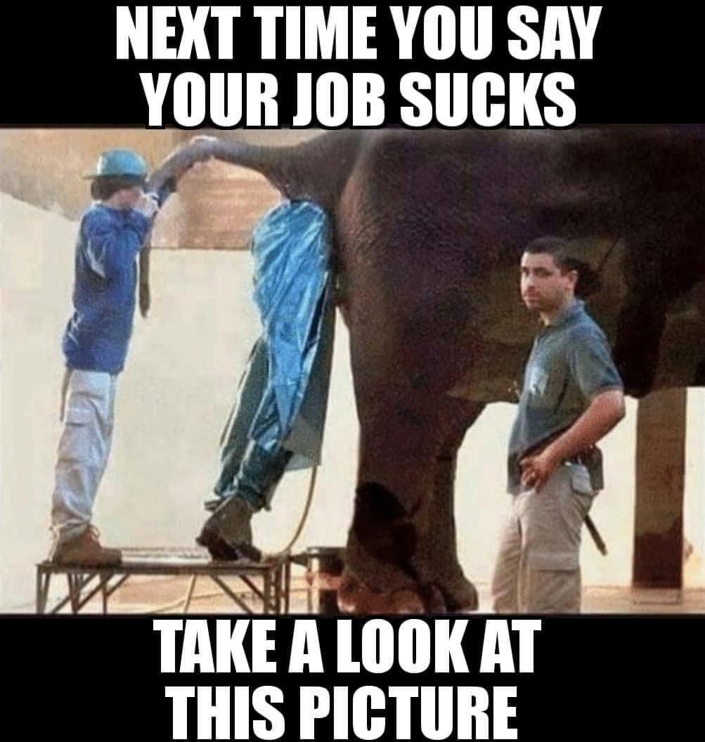 NEXT TIME YOU SAY YOUR JOB SUGKS TAIEAlniII AT THIS PICTURE