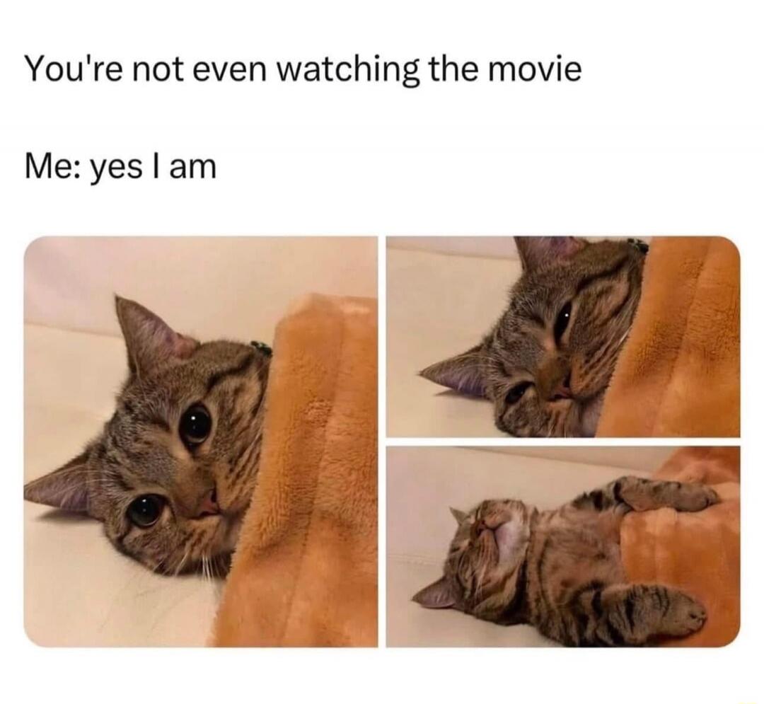 You're not even watching the movie Me: yes I am