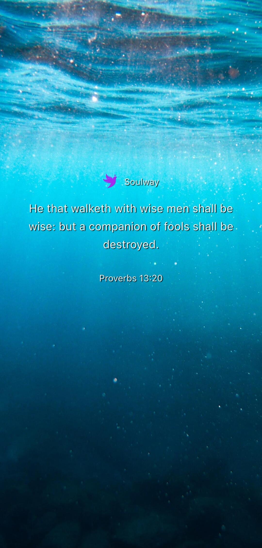 Soulway He that walketh with wise men shall be wise: but a companion of fools shall be destroyed. Proverbs 13:20