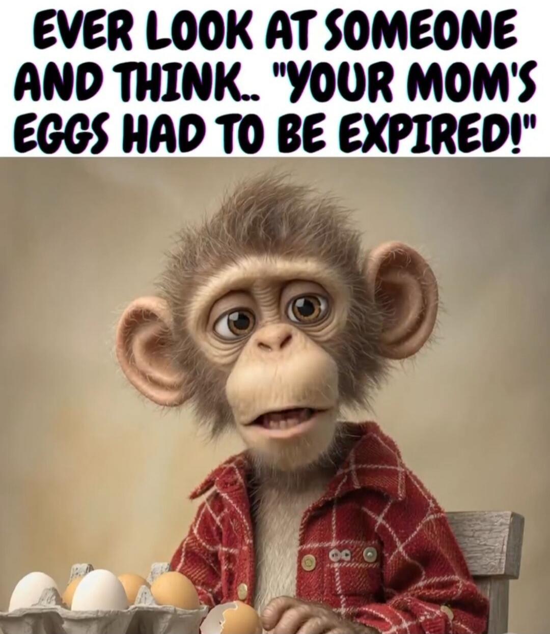EVER LOOK AT SOMEONE AND THINK... 'YOUR MOM'S EGGS HAD TO BE EXPIRED!'