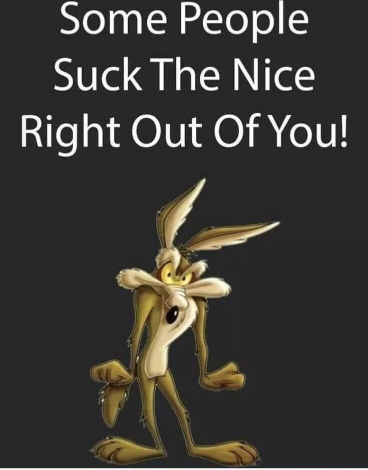 Some People Suck The Nice Right Out Of You!