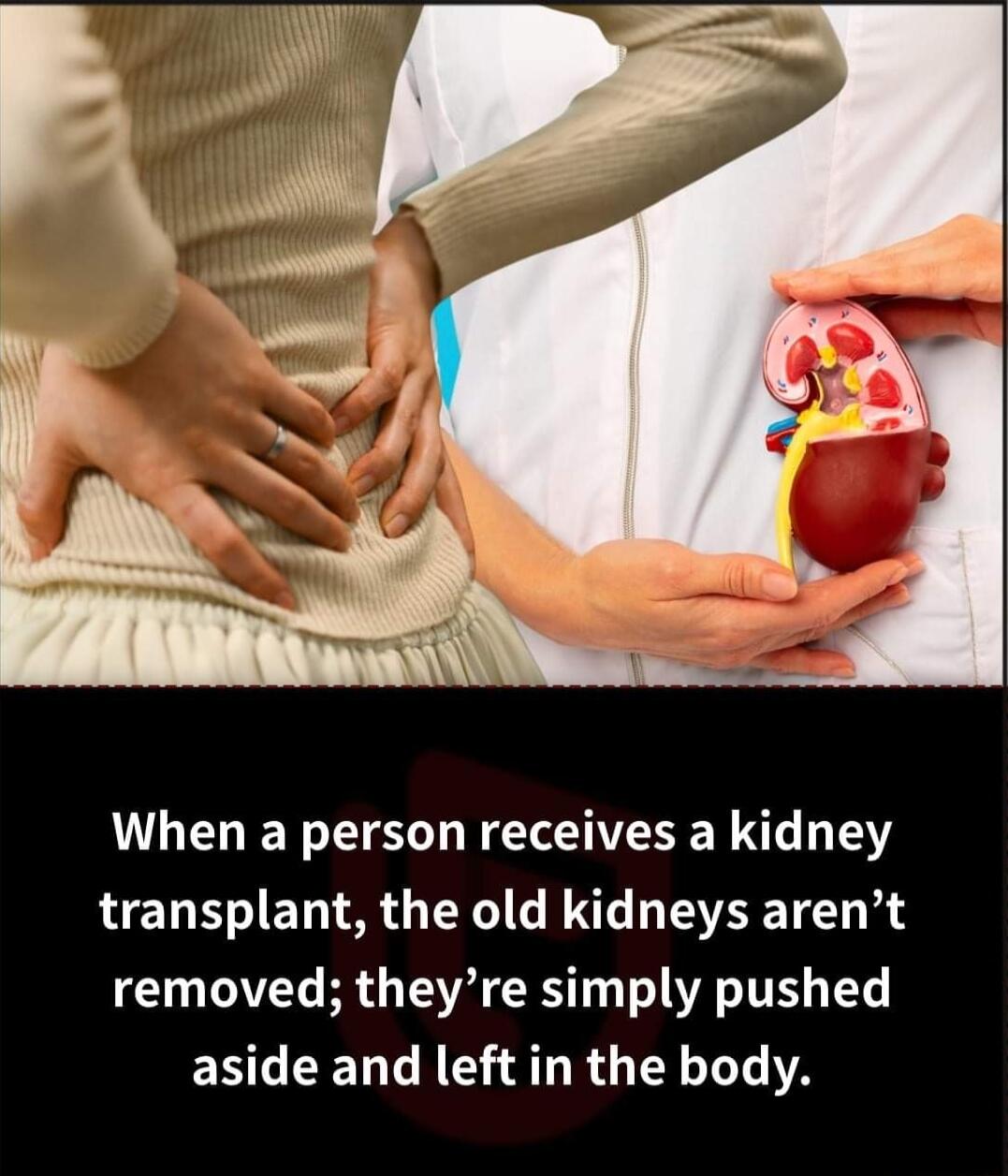 L GELER S NN SE N 1Y transplant the old kidneys arent TV B TV RS T WA TTE T ESCEELGEEETRGTEY LA