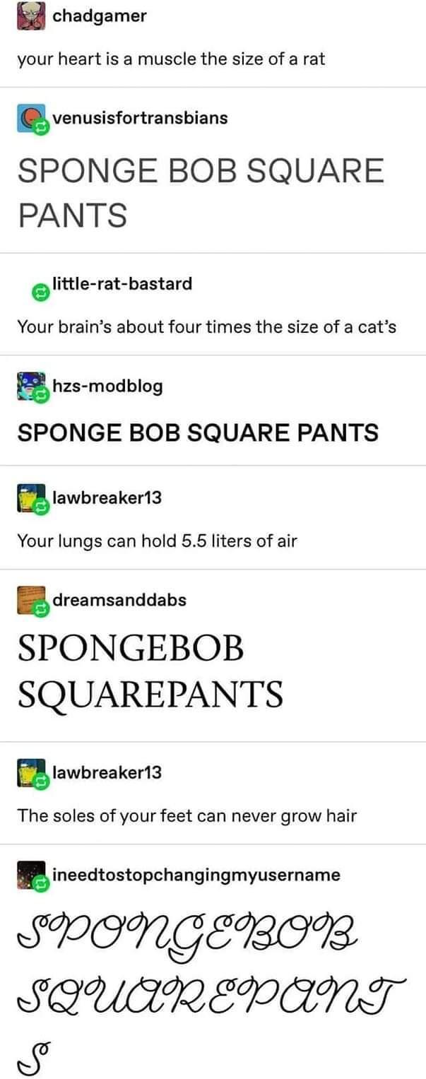 w chadgamer your heart is a muscle the size of a rat venusisfortransbians SPONGE BOB SQUARE PANTS Ilttlerat bastard Your brains about four times the size of a cats ahzs mod blog SPONGE BOB SQUARE PANTS lawbreaker13 Your lungs can hold 55 liters of air dreamsanddabs SPONGEBOB SQUAREPANTS Iawbreaker13 The soles of your feet can never grow hair ineedtostopcha ngingmyusername SPONGEBIN SQOUEREDPENT K