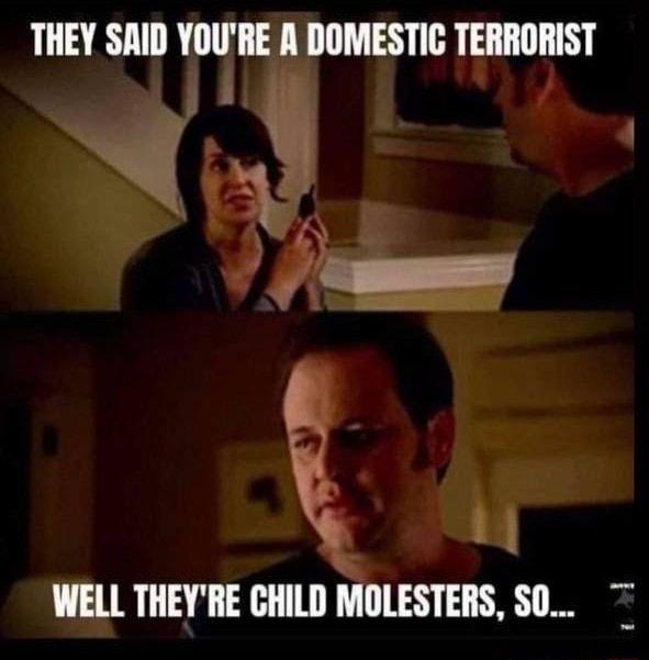 THEY SAID YOURE A DOMESTIC TERRORIST WELL THEYRE CHILD MOLESTERS 80