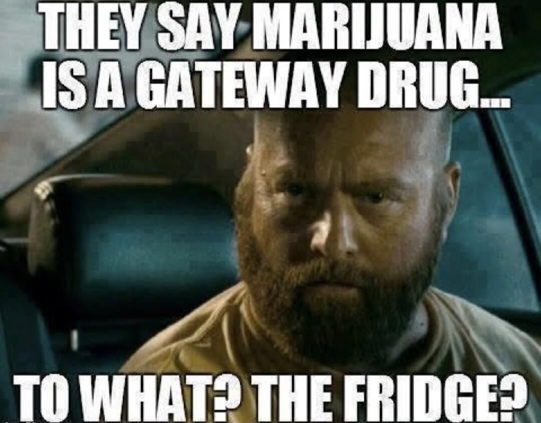 THEY SAY MARIJUANA IS A GATEWAY DRUG... TO WHAT? THE FRIDGE?