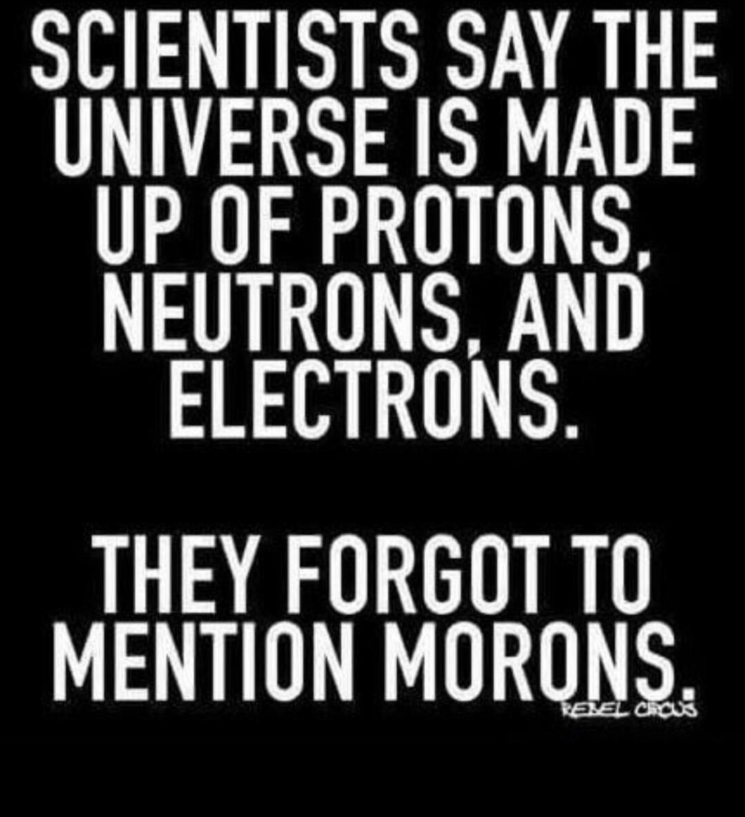 SCIENTISTS SAY THE UNIVERSE IS MADE UP OF PROTONS, NEUTRONS, AND ELECTRONS. THEY FORGOT TO MENTION MORONS. REBEL CROWS.