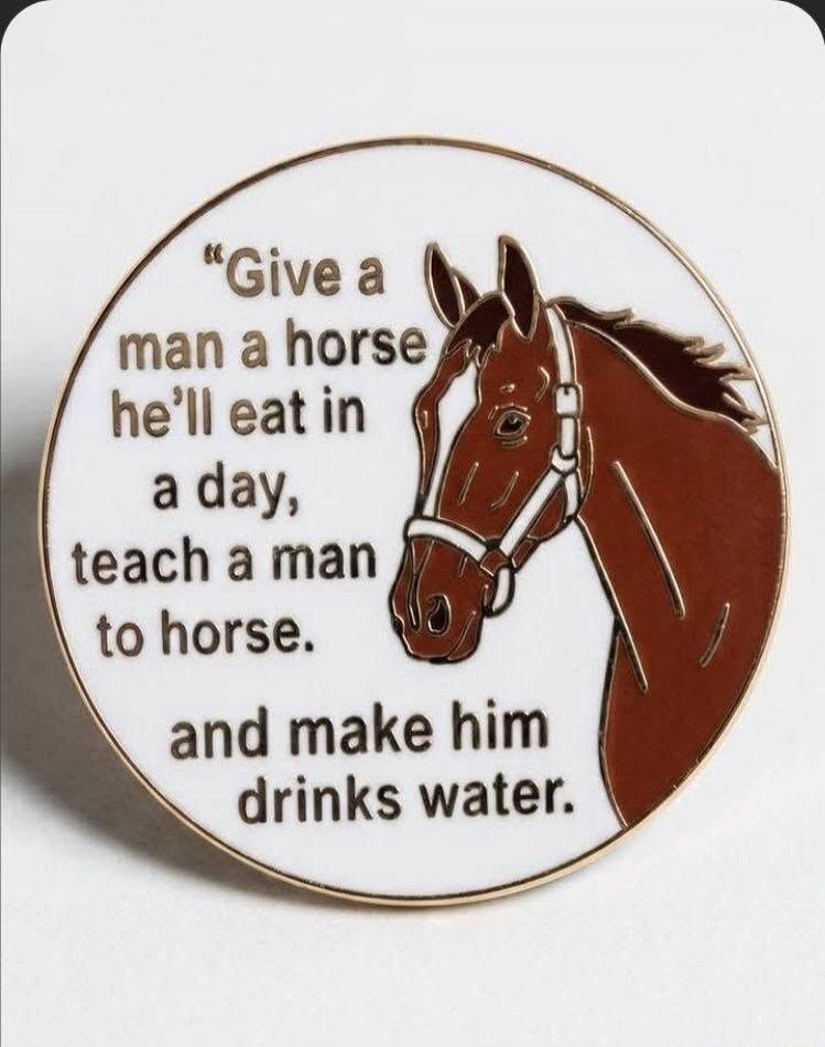 Give a man a horse he'll eat in a day, teach a man to horse. and make him drinks water.