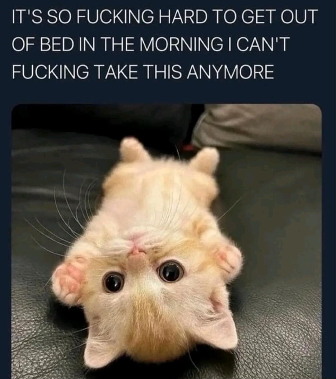 ITS SO FUCKING HARD TO GET OUT OF BED IN THE MORNING CANT FUCKING TAKE THIS ANYMORE T