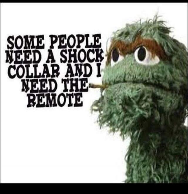 SOME PEOPLE NEED A SHOCK COLLAR AND I NEED THE REMOTE